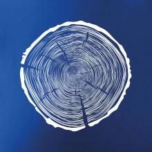 Letokruhy 95 bez věku