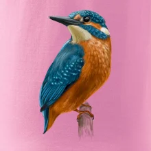 Lednáček kreslený