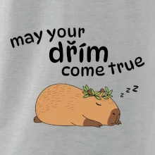 May your dřím come true