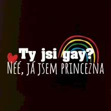 Gay princezna