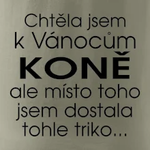 Chtěla jsem k Vánocům koně