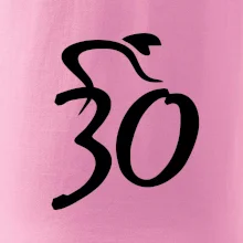 Cyklista slaví třicítku (30)
