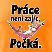 Práce není zajíc, počká.