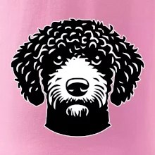 Lagotto romagnolo hlava na prsu