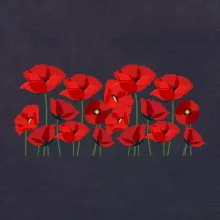 Vlčí mák v řadě