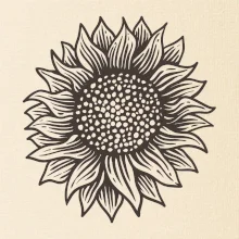 Slunečnice kreslená černobílá
