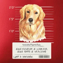 Lump a darebák zlatý retrívr Lump a darebák zlatý retrívr