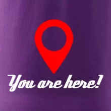 You are here