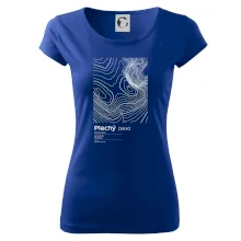 Plechý - vrstevnice v obdélníku