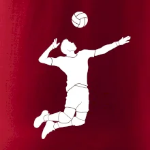 Volejbal nápřah muž