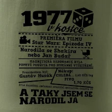 1977 v kostce
