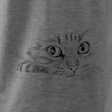 Kočka obličej kreslený
