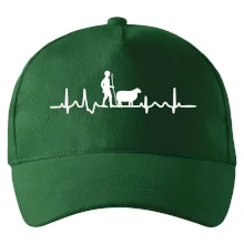 Ekg pastevec ovcí