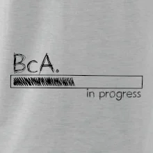 In progress  titul BcA. bakalář / bakalářka umění