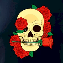 Lebka držící růži