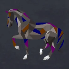 Kůň geometrie barevný