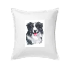 Border kolie vodová barva