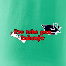 Pro tebe pan Inženýr