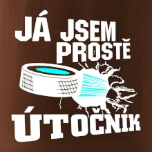 Já jsem prostě útočník (hokej)
