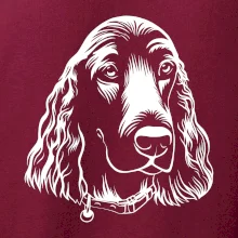 Kokršpaněl - hlava kreslená