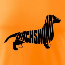 Jezevčík - Dachshund
