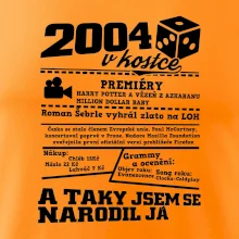 2004 v kostce