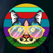 Kočka při barevném západu