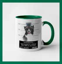 Lump a darebák border kolie