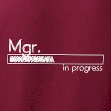 In progress titul Mgr.  magistr / magistra