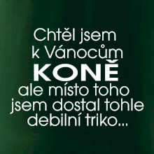 Chtěl jsem dostat k Vánocům koně