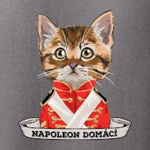 Napoleon domácí kočka