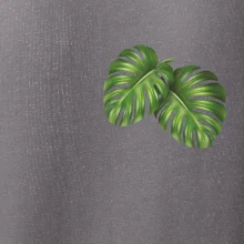 Monstera listy na prsu