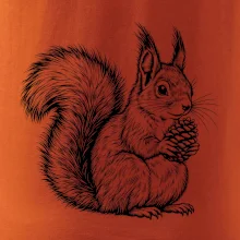 Zvířata Krkonoš – veverka obecná