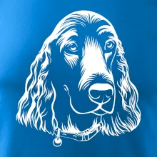 Kokršpaněl - hlava kreslená