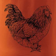 Slepice černobílá