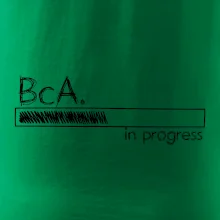 In progress  titul BcA. bakalář / bakalářka umění