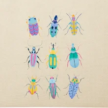 Barevní brouci (studio-arte.cz)