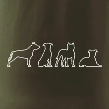 Americký stafordširský teriér v různých pozicích