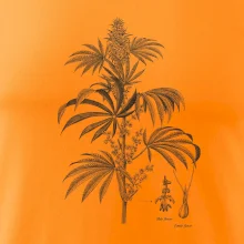 Konopí kytka černobílá