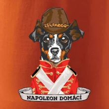 Napoleon domácí pes kříženec