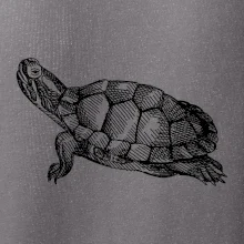 Tužkou kreslená želva