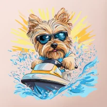 Yorkšírský teriér na vodním skútru