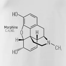 Molekulární struktura Morfin