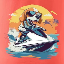 Bígl na vodním skútru