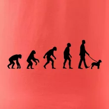 Lagotto romagnolo Evoluce