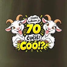 Těmhle holkám je 70, čučíš co?