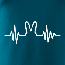 EKG zajíc EKG zajíc