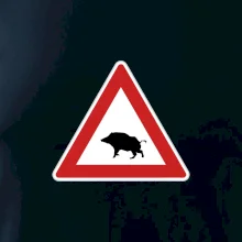 Dopravní značka - Pozor divočák