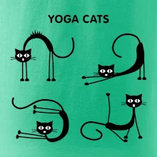 Kočičí jóga (Hana-creative)