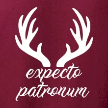 Harry - Expecto patronum